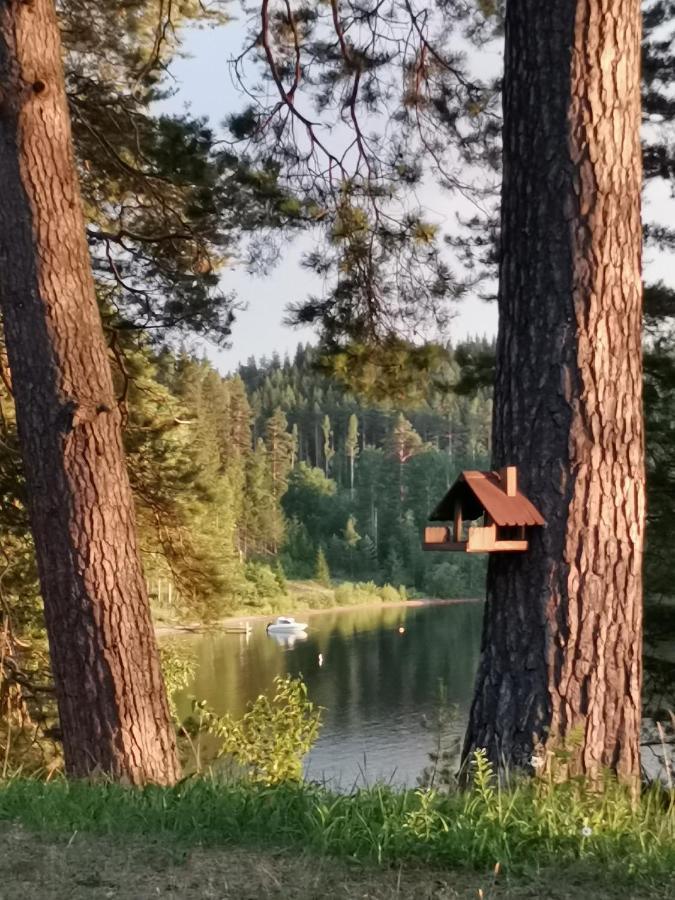 Appartement Vuori Camp By Saimaa à Vuoriniemi Extérieur photo